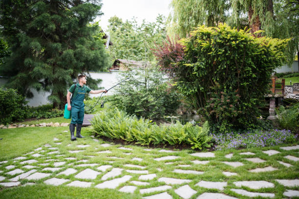 Best Commercial Pest Control Services  in Atlantic Beach, FL