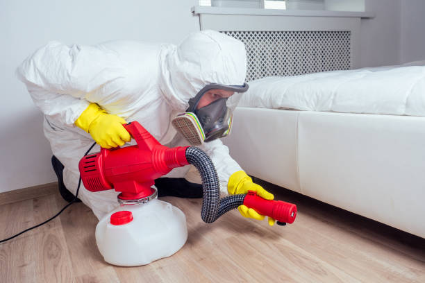Best Best Pest Control Companies  in Atlantic Beach, FL