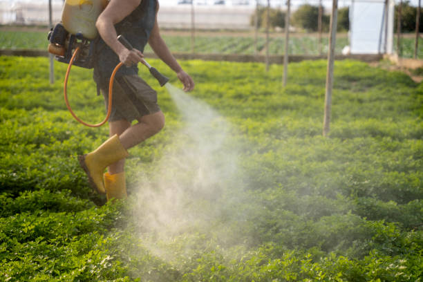 Best Exterminator Services  in Atlantic Beach, FL