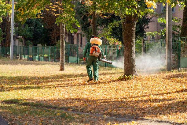 Wasp Removal Services in Atlantic Beach, FL